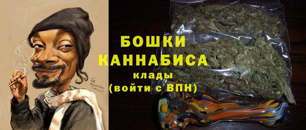 a pvp Гусь-Хрустальный